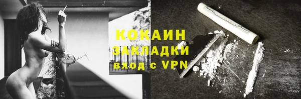 кокс Алексин