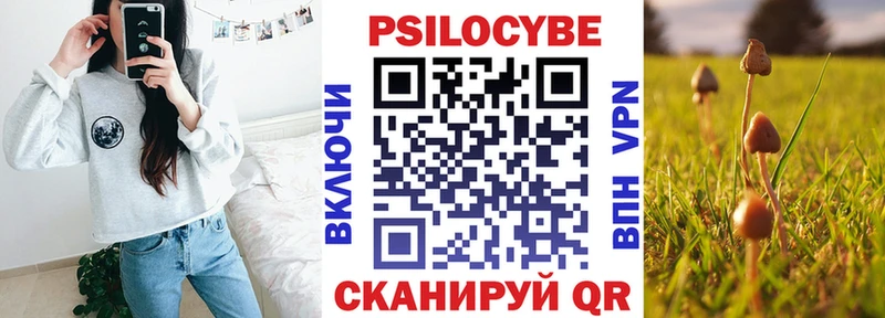 Галлюциногенные грибы Cubensis  Зеленоградск 